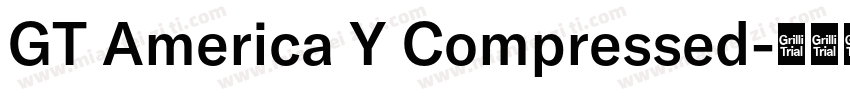 GT America Y Compressed字体转换